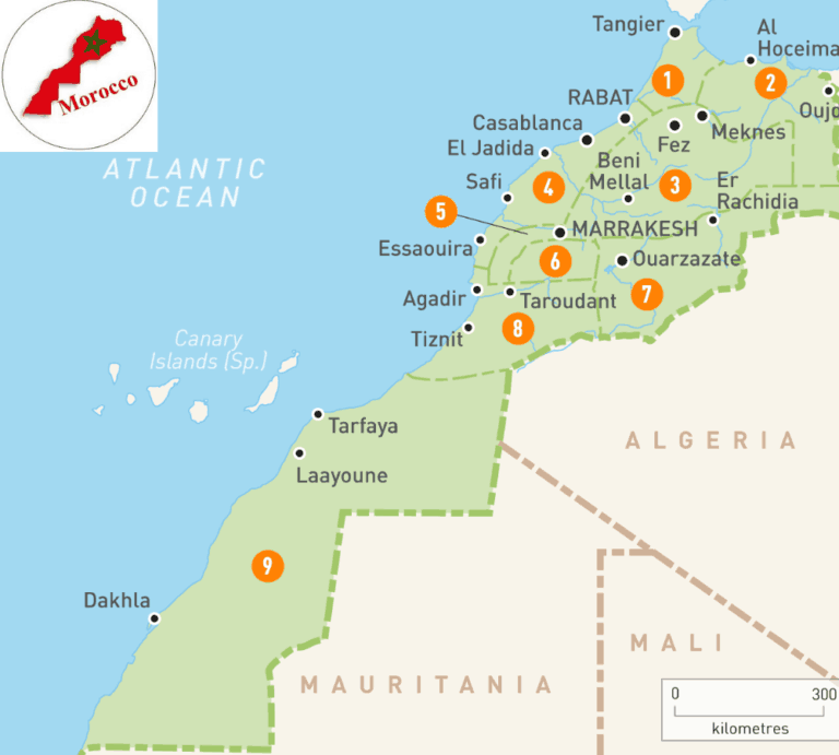 Map Of Morocco 768x691 